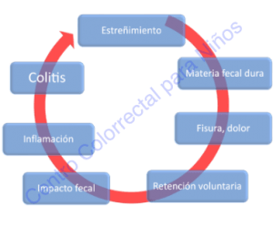 Círculo vicioso del estreñimiento crónico idiopático