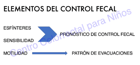 Elementos de control fecal
