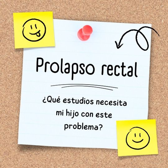 Prolapso rectal y estudios que se necesitan