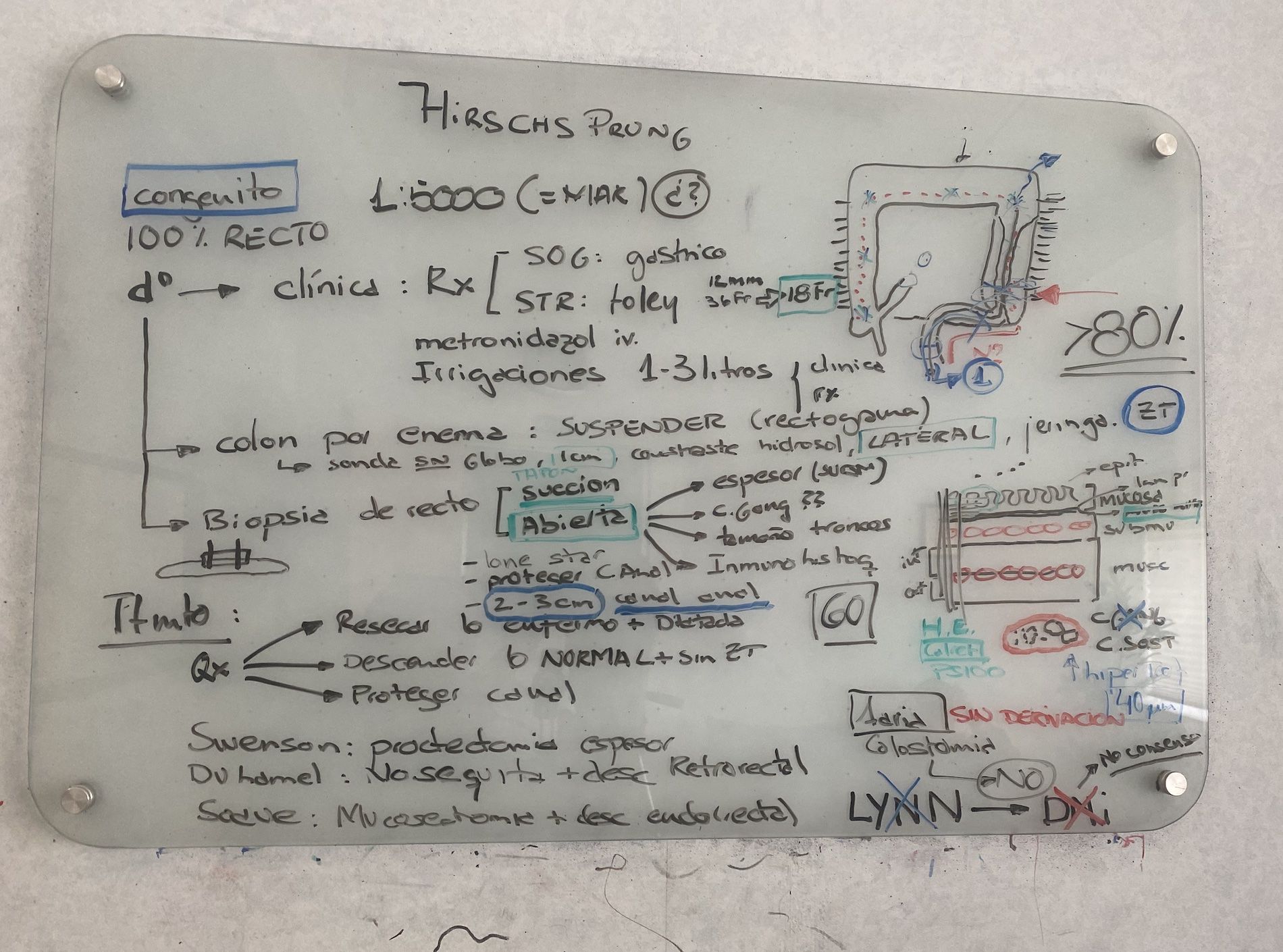 Resumen de la clase Hirschsprung: mitos y realidades