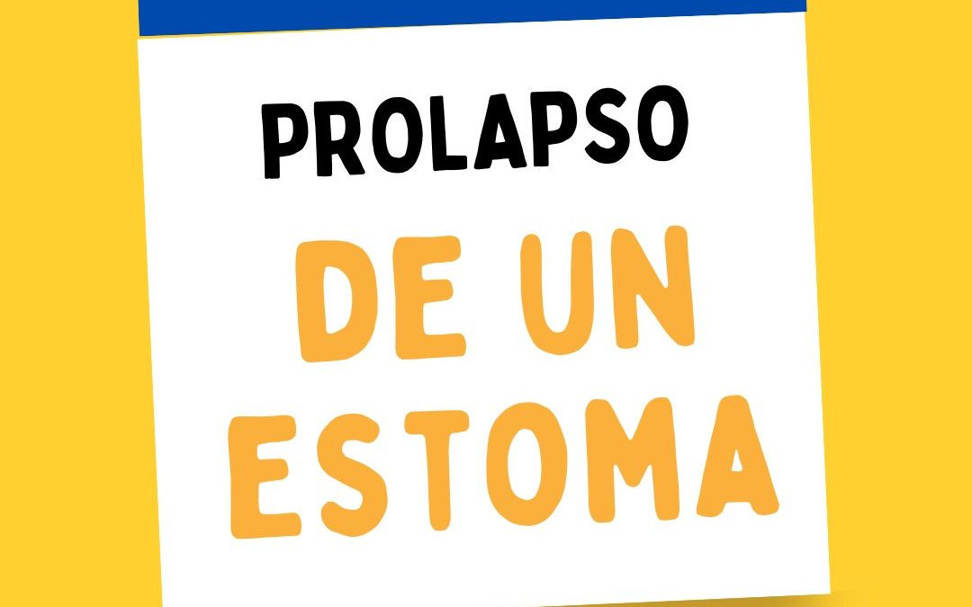 Prolapso de colostomía