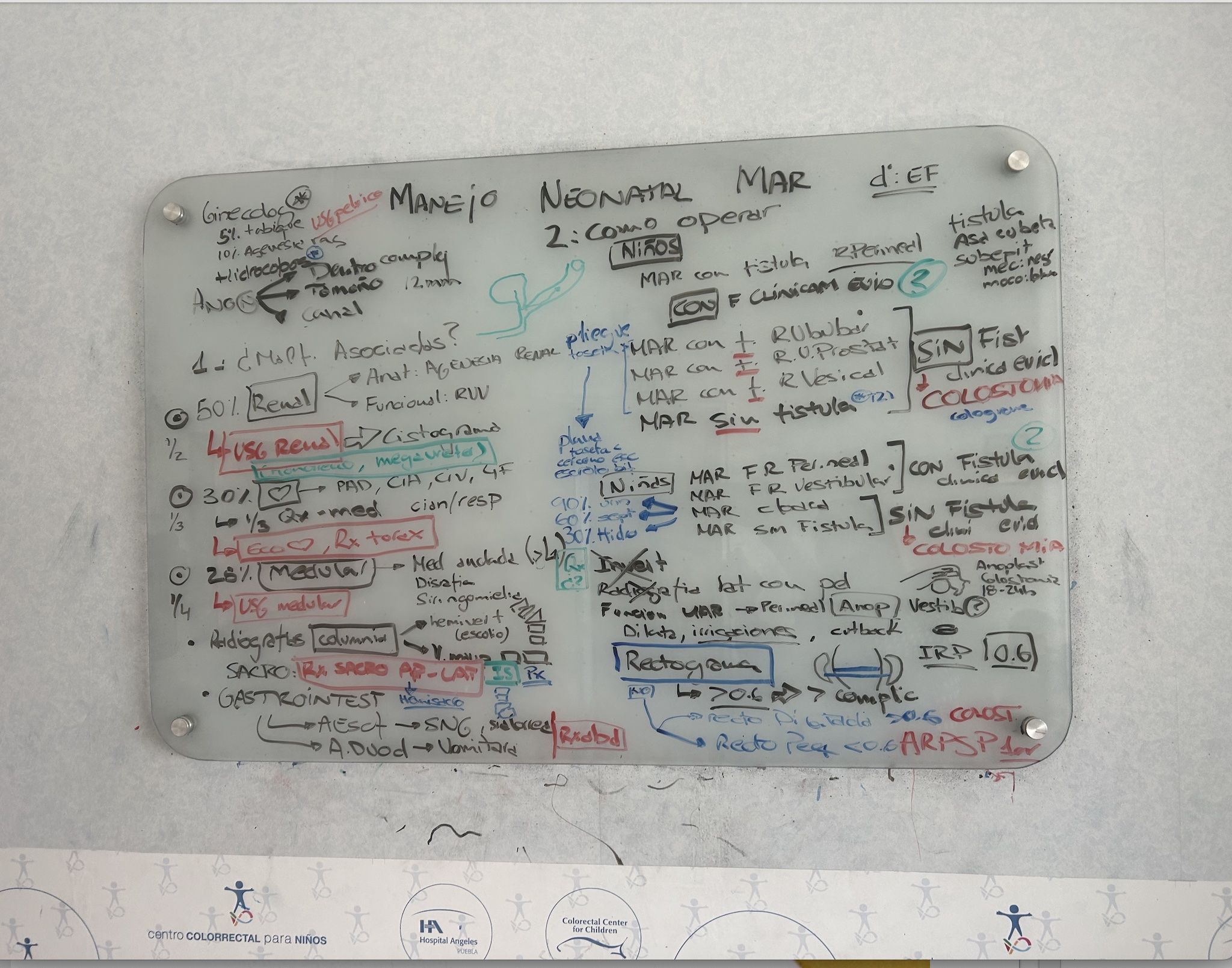 Resumen clase manejo neonatal de las malformaciones anorrectales