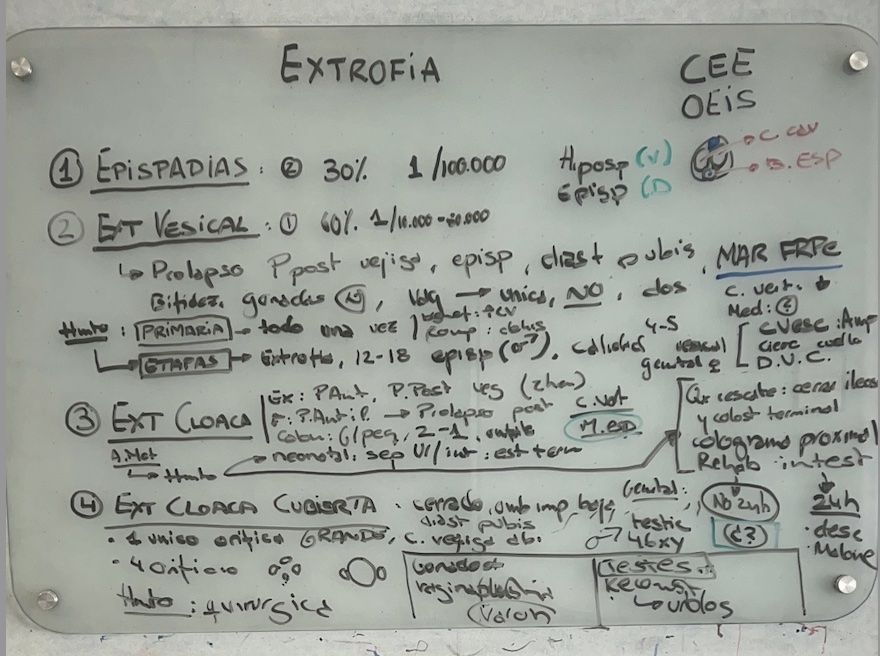 Resumen de la clase de extrofia vesical y extrofia de claoca