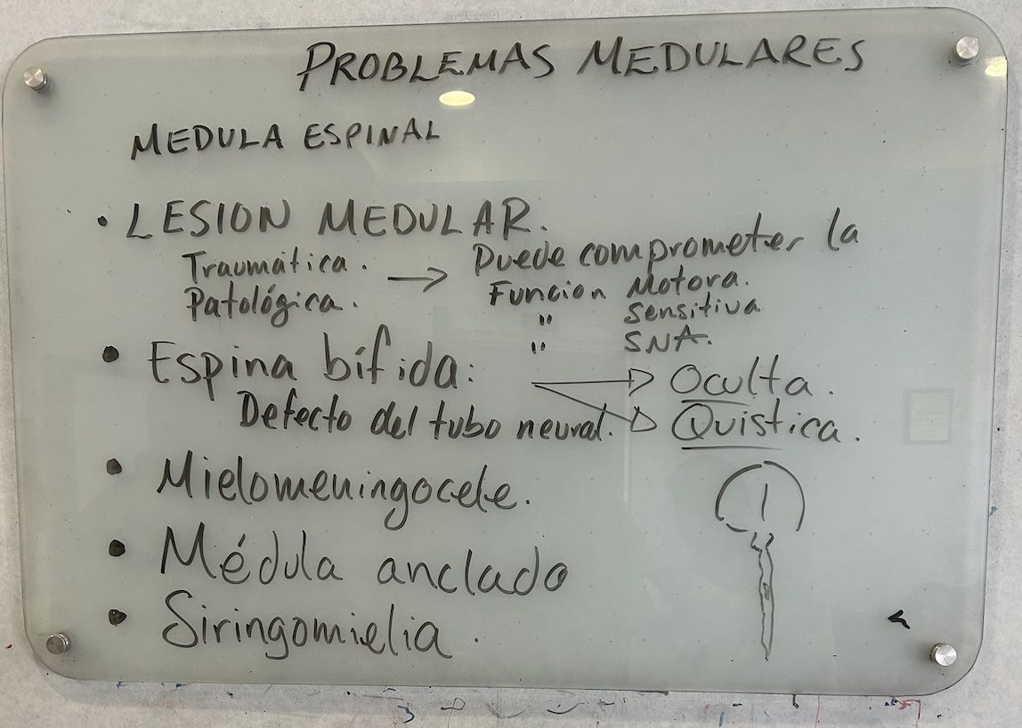 Resumen de la clase problemas medulares