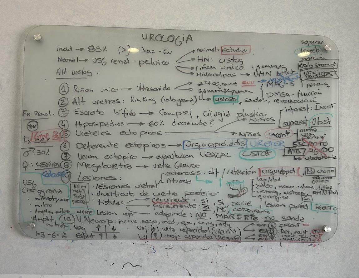 Resumen clase urología