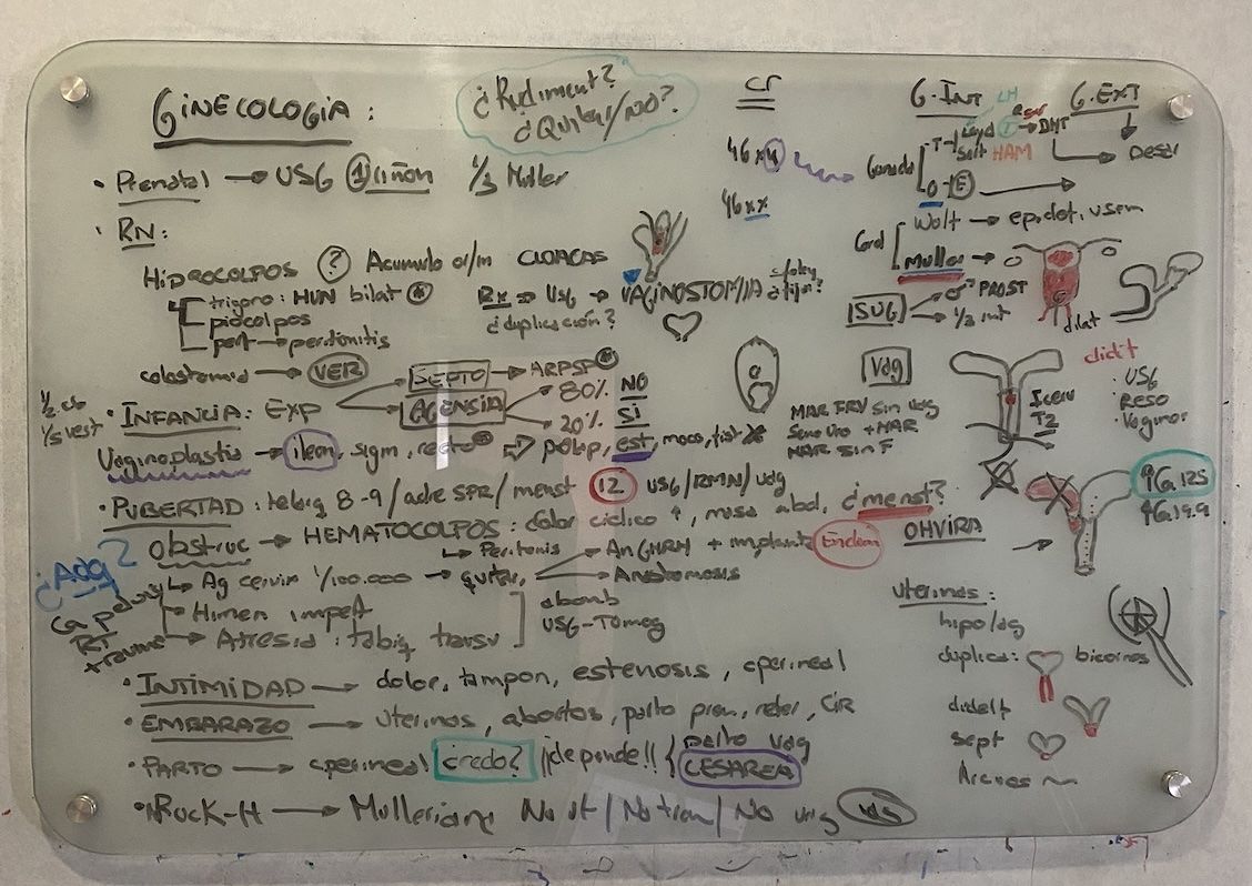 Resumen clase ginecología en niñas