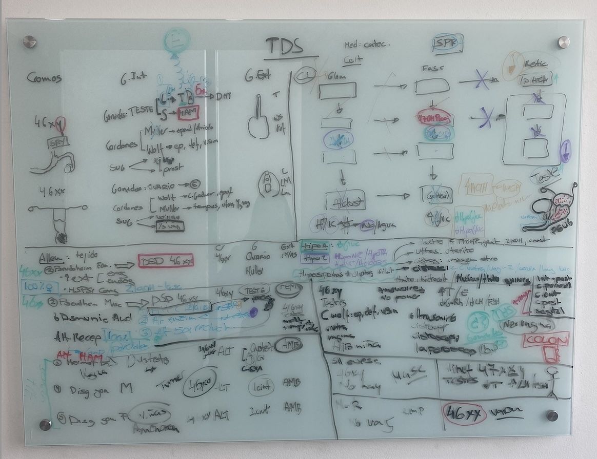 Resumen de la clase TDS