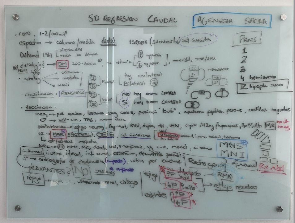 Resumen clase síndrome de regresión caudal