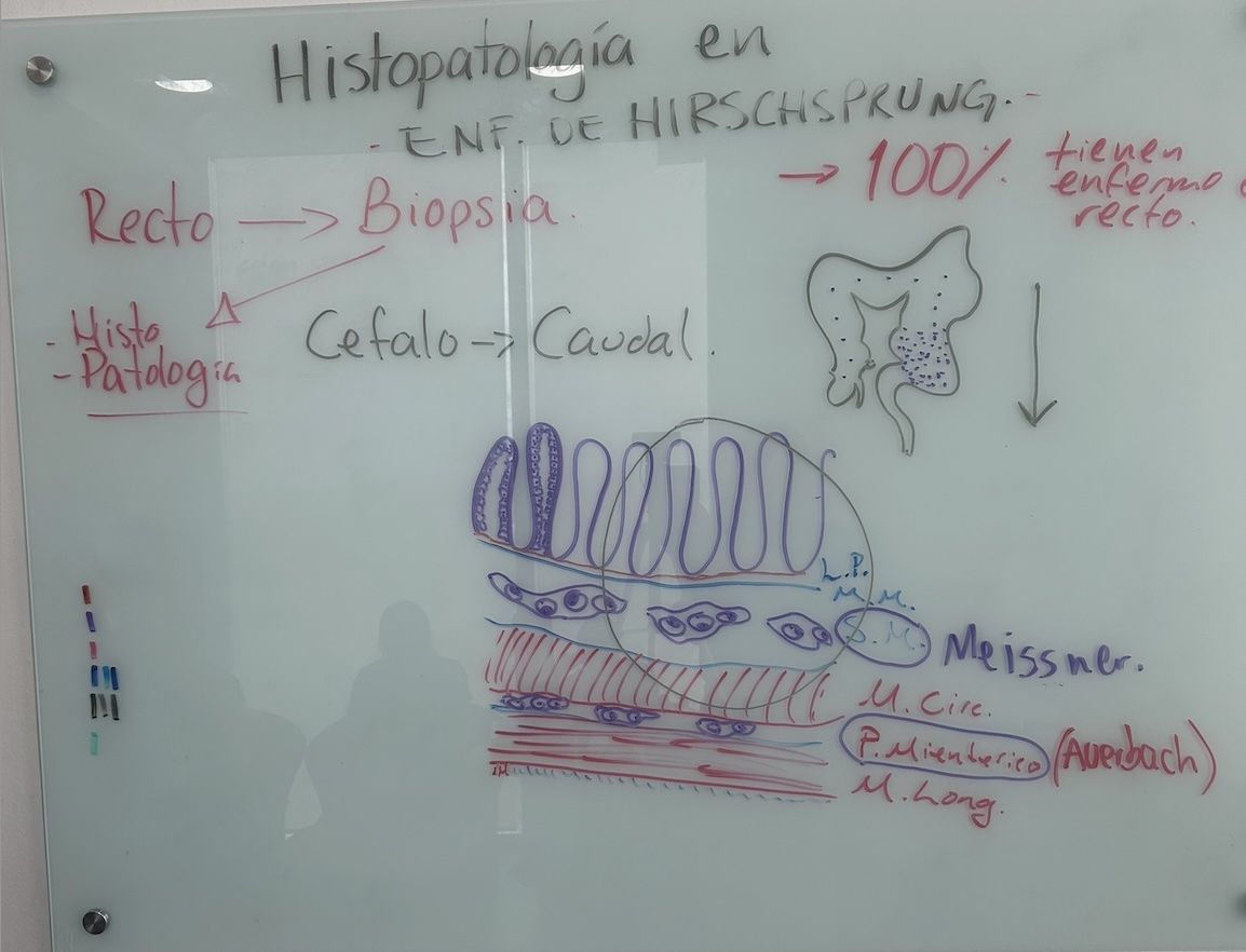 Resumen de la clase "histopatología en Hirschsprung"