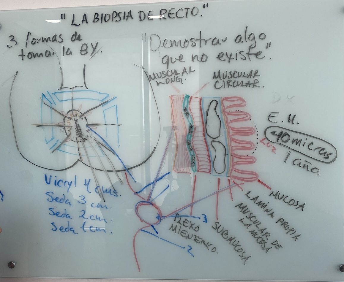 Resumen de la clase biopsia de recto