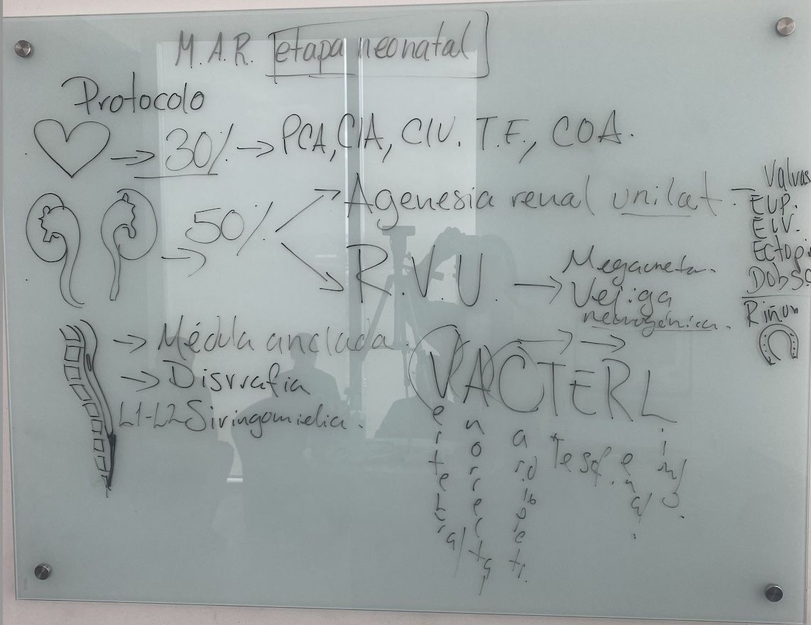 Resumen de la clase malformaciones anorrectales y el manejo neonatal