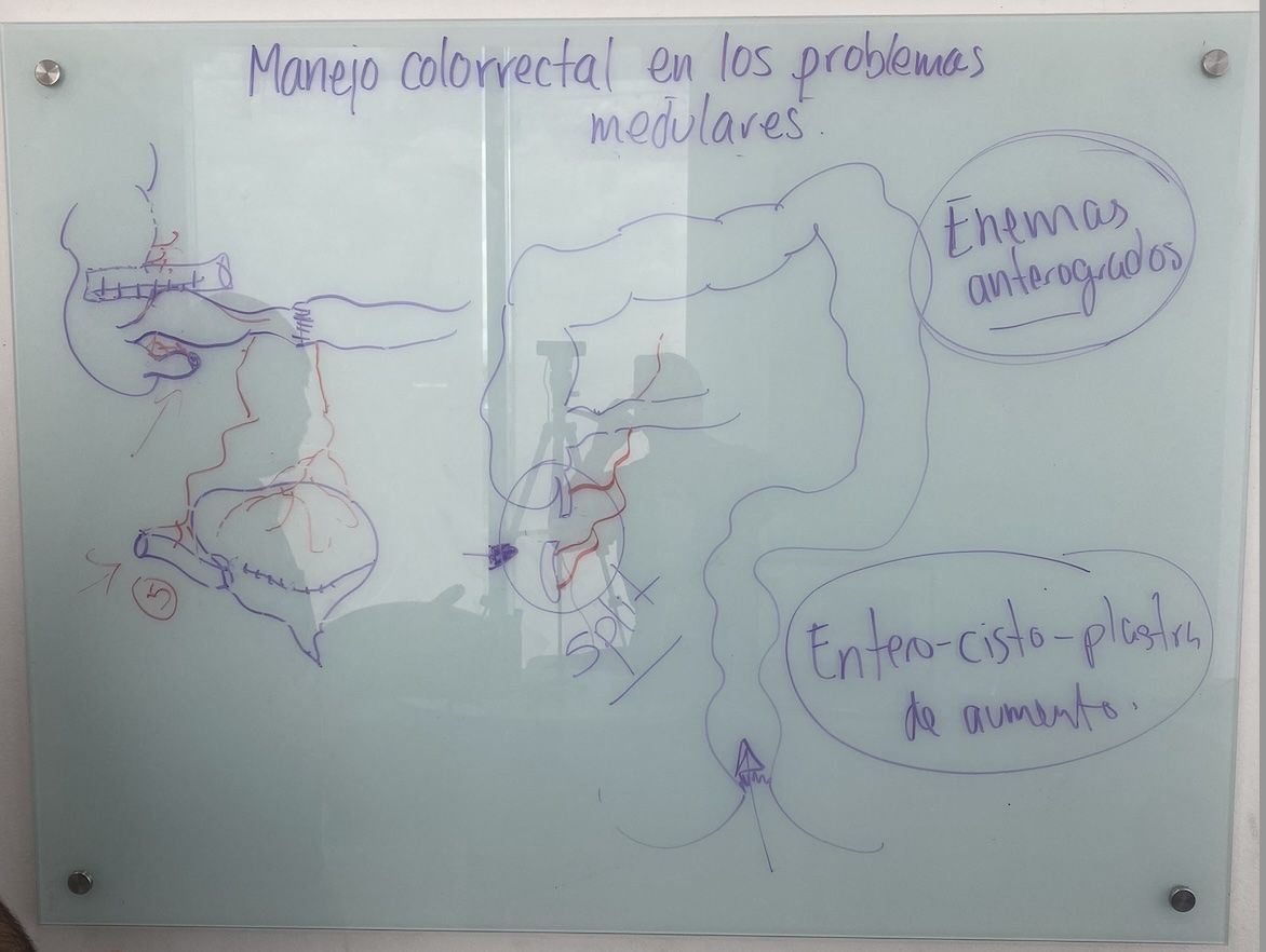 Resumen de la clase de manejo de los problemas medulares