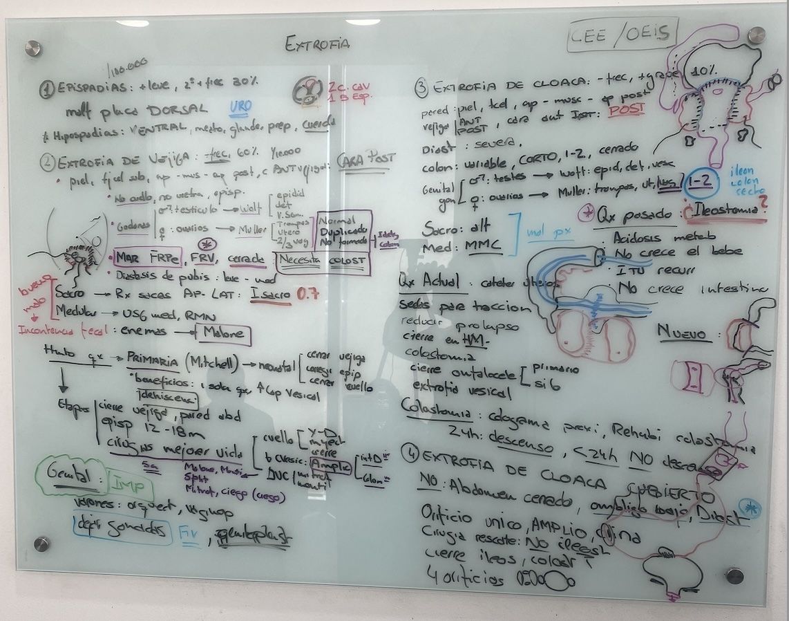 Resumen de la clase: "extrofia de cloaca y extrofia de vejiga"