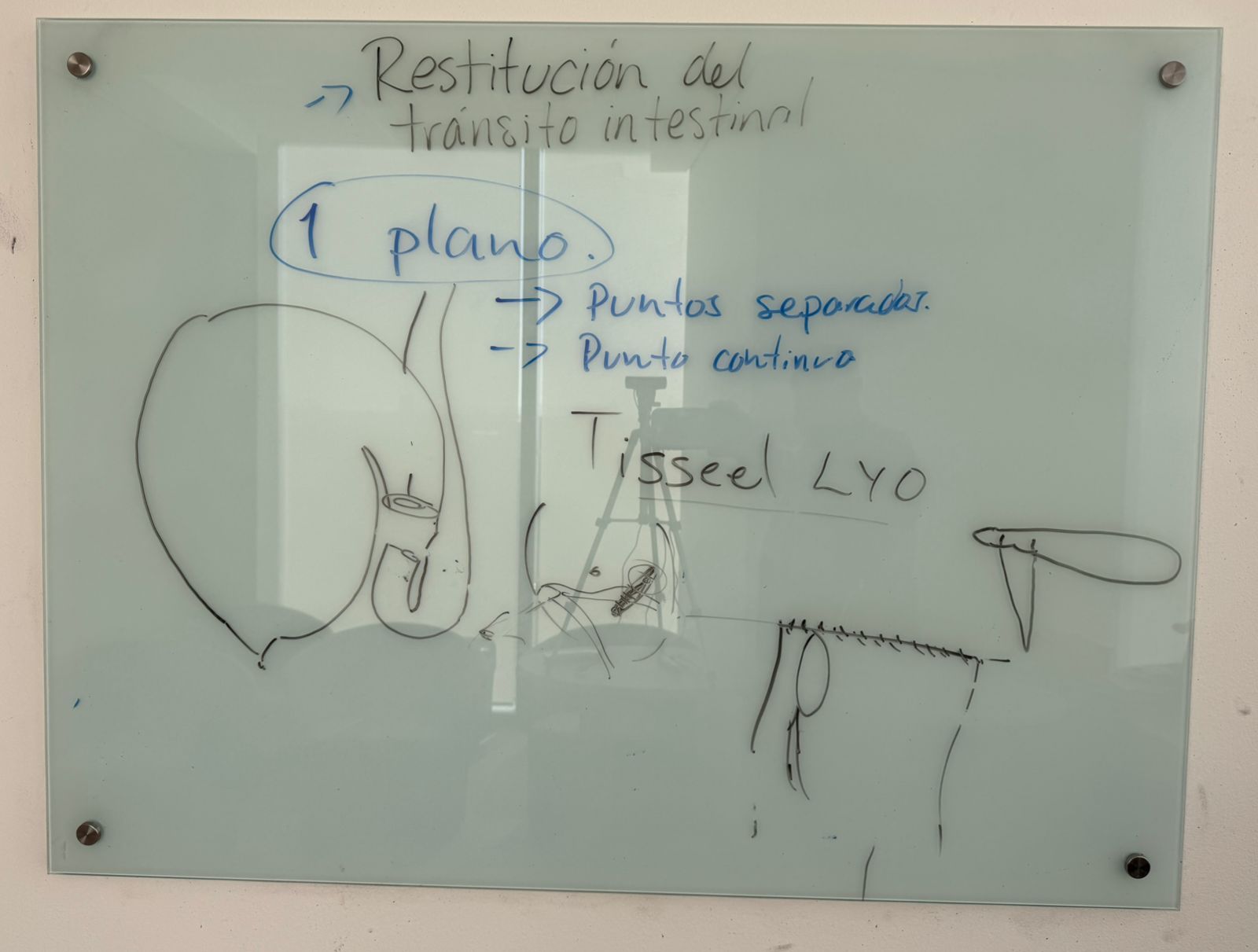 Resumen de la clase "cierre de estomas en niños"