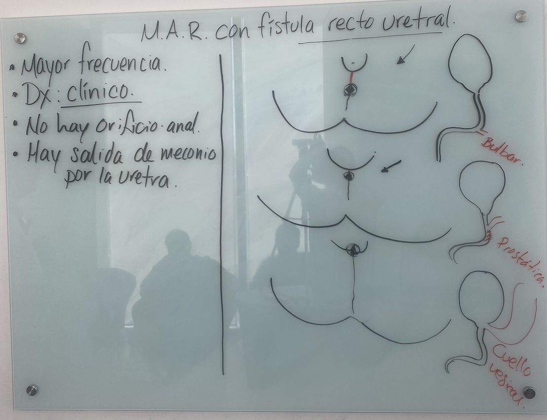 Resumen de la clase "Malformación anorrectal con fístula recto uretral"