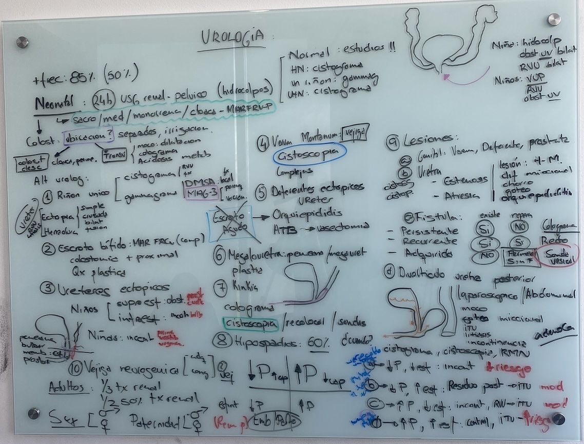 Resumen de la clase: "urología en pacientes con malformación anorrectal"