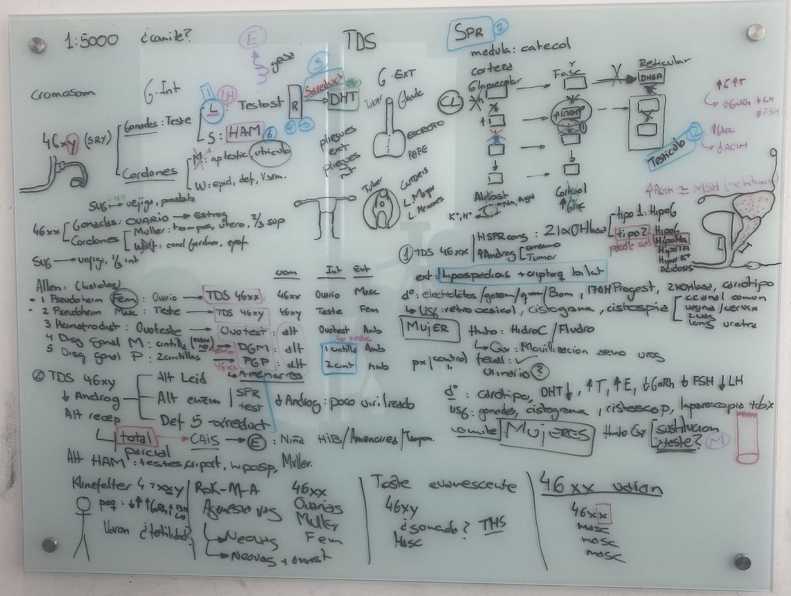 Resumen de nuestra clase "trastornos de diferenciación sexual"