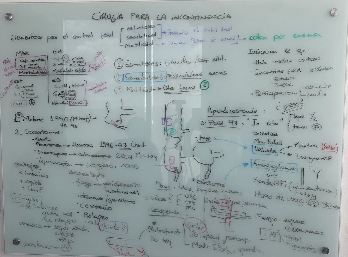 Resumen de la clase: cirugía para la incontinencia fecal