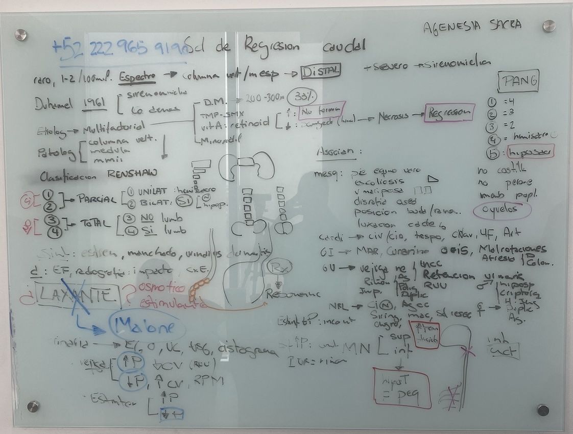 Resumen de la clase "Síndrome de regresión caudal" Resumen de la clase "Síndrome de regresión caudal"